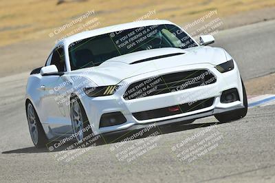 media/May-24-2025-Turn8 Trackdays (Sat) [[034586b55d]]/3 Inter 3/Session 2 (Cotton Corners-Grapevine)/